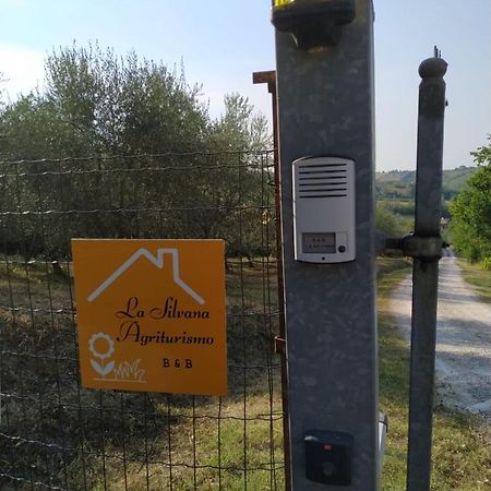 La Silvana B&B Coriano Exteriör bild